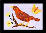563 Bird