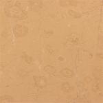 Terra Beige