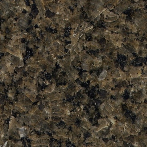 Tropic Brown